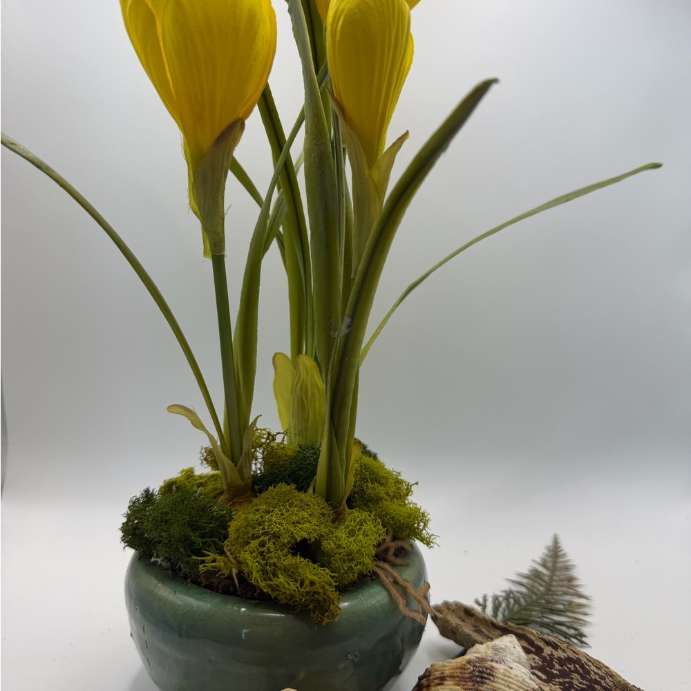 Yellow Daffodil 🌼 Floral Arrangement for Springtime with Moss